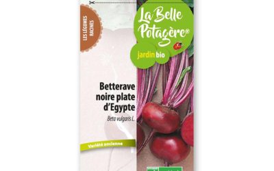 BETTERAVE NOIRE PLATE D’ÉGYPTE BIO 2,5G