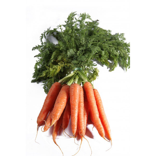 Graine de carotte de colmar