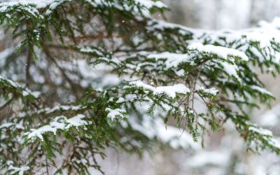 Comment garder le moral pendant l’hiver ? Les meilleurs Conseils et Astuces